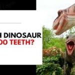 What dinosaur has 500 teeth