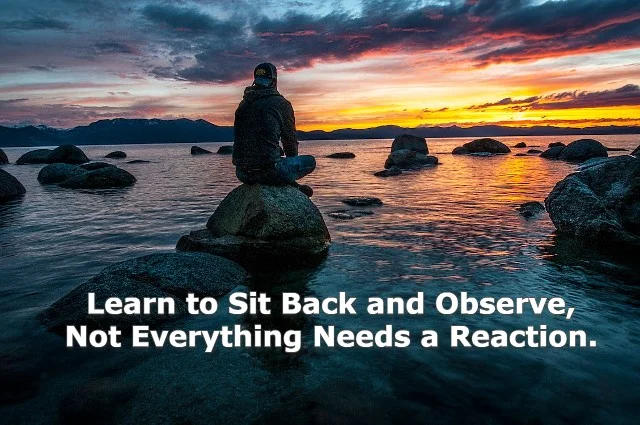 Learn to sit back and observe. not everything need – tymoff A comprehensive guide 2024